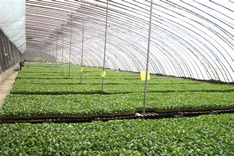 ​农林植保课程目标