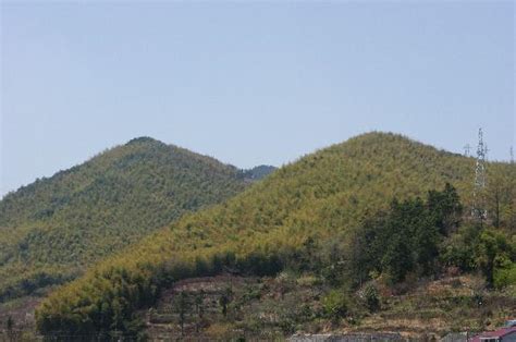 余姚淘宝全能入门学习