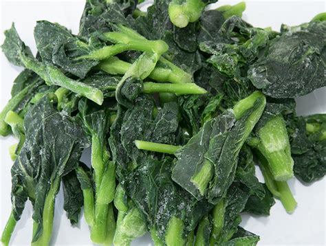 余姚IIIustrator周末学习班