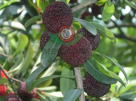 余姚哪有PROE模具造型设计专业学习