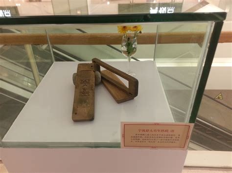 宁波鄞州区书法培训