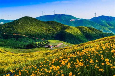 宁波旅游英语培训哪里好
