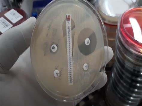 宁波注册会计师考试入门