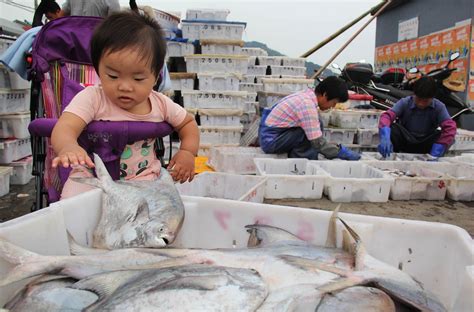 宁波素描培训暑假班