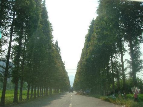 宁海县高级会计职称辅导班