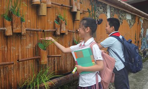 宁海县平面设计师实践学习
