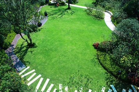 宁波初级茶艺师考试内容