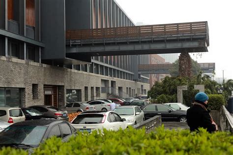 宁波初级茶艺班