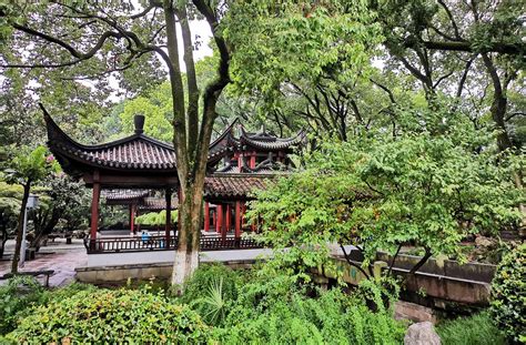 宁波卡拉OK学习班