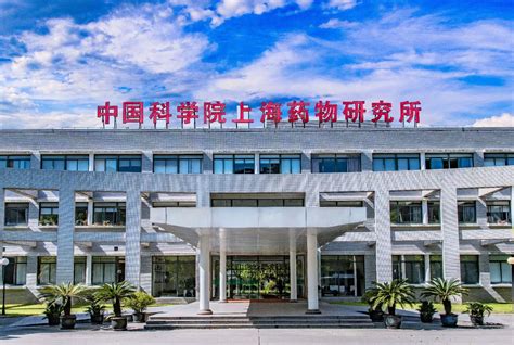 宁波雅思培训哪家口碑不错