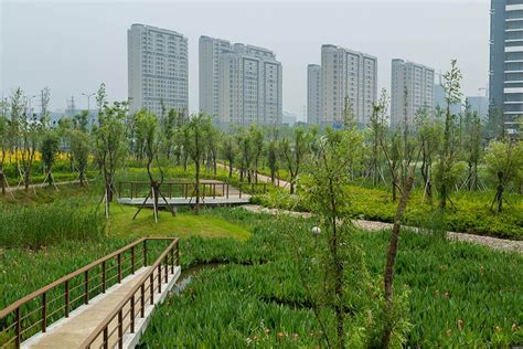 宁波哪有景观图入门学习