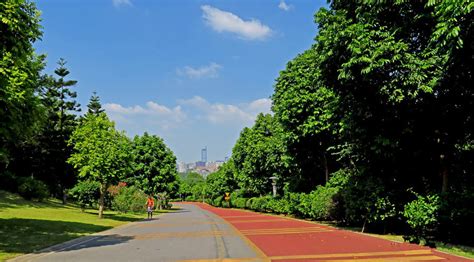 青秀区高考复读辅导班哪里好