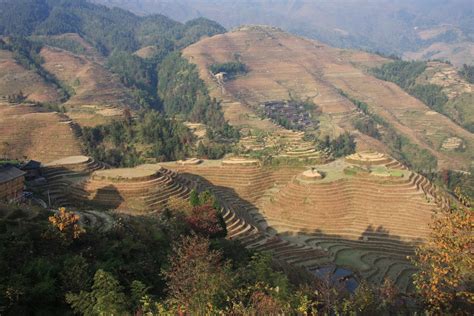 广西省复读哪家好