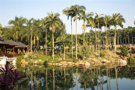 南宁青秀区高三语文写作培训班哪里有