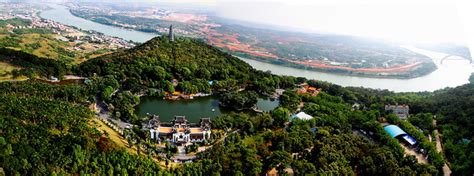 南宁青秀区高二语文阅读辅导机构