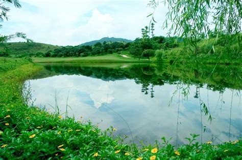 南宁青秀区高三数学竞赛培训课程