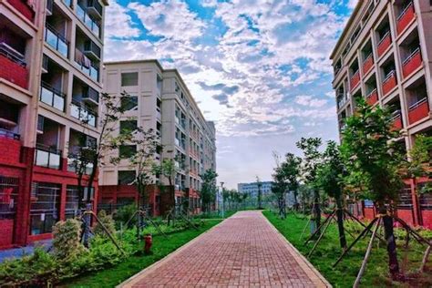 南宁学大艺考文化课培训班哪个好