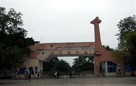 南宁高考暑假语文学习哪家好