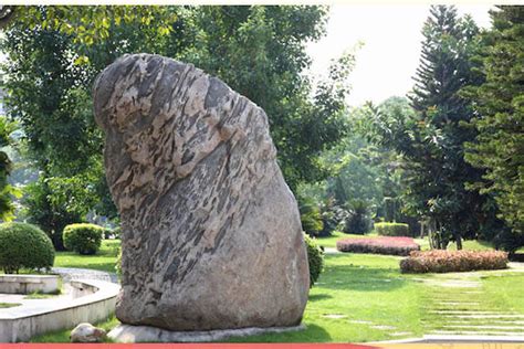 南宁高二语文一对一辅导课程