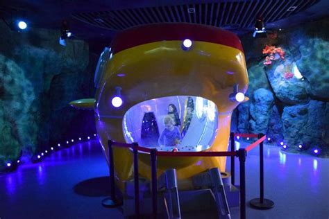 上海少儿感统训练到哪里好