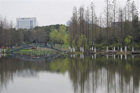 宁波安装预算基础辅导