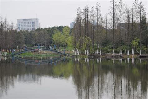 宁波安装预算基础班