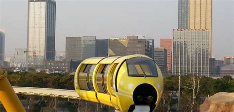 宁波插花实操学习班