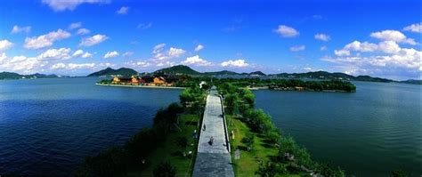 宁波插花学习班