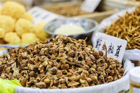 宁波学做美食小吃