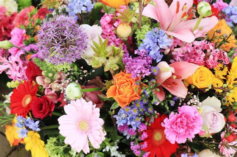 慈溪插花设计学习