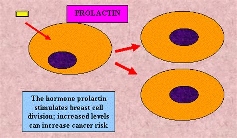 慈溪催乳师初级培训班