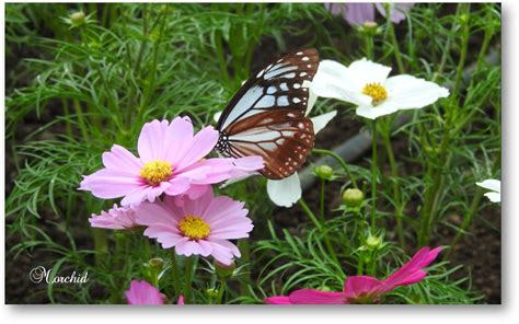 慈溪插花培训价格