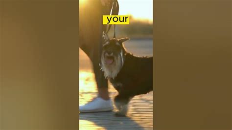 慈溪素描基础培训