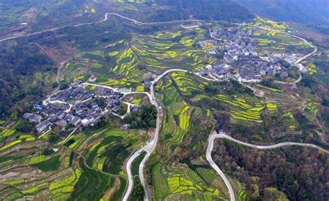 宁波插花入门培训班