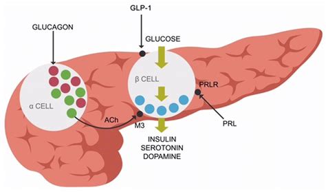 慈溪催乳师培训价格