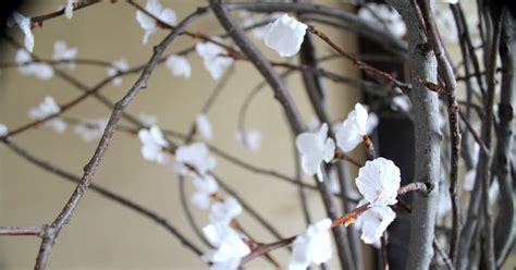 余姚插花短期学习班
