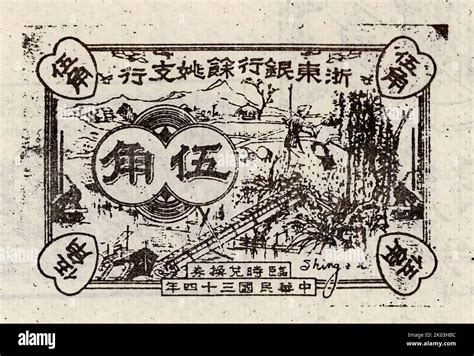 余姚插花基础
