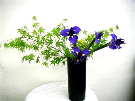 余姚插花高级班