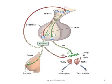 余姚催乳师初级学习班