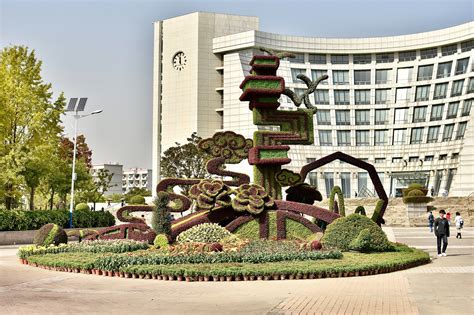 在沪学ap课程在哪学习好