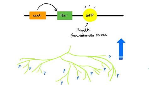 【南京solidworks基础练习】