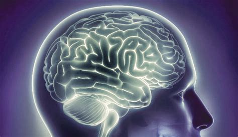 鼓楼区**强大脑记忆力训练法