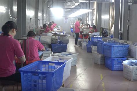 东莞大包辅导班哪家好-哪里有