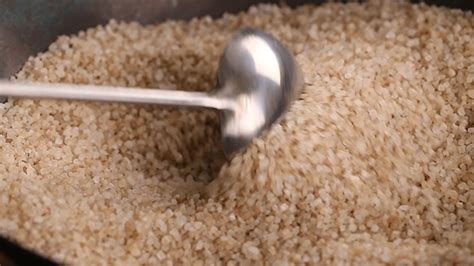 东莞嘉州盐焗鸡技术培训机构哪家好-哪里有