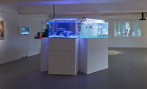 东莞石锅鱼培训收费标准-地址-