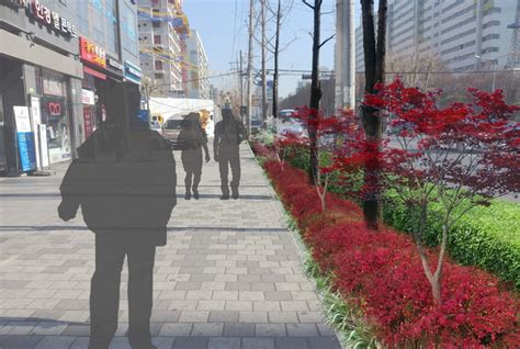 法蓝西首尔风切块蛋糕课