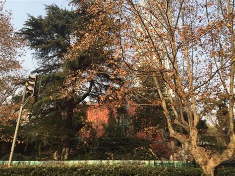 鼓楼区cpa面授课程