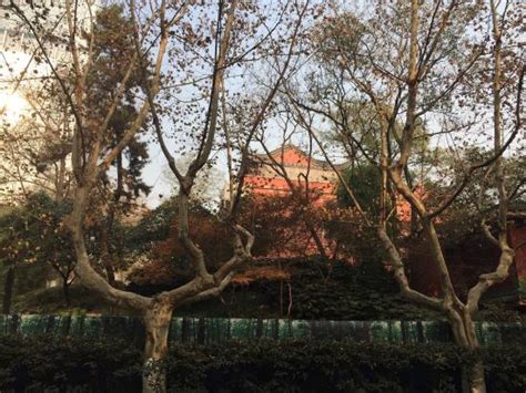 鼓楼区注会培训中心