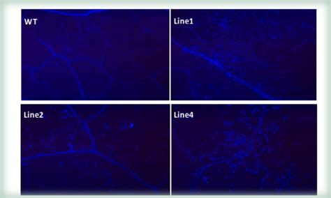 【南京oracle基础培训】