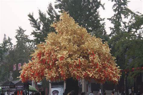 南京oracle周末班课程学费